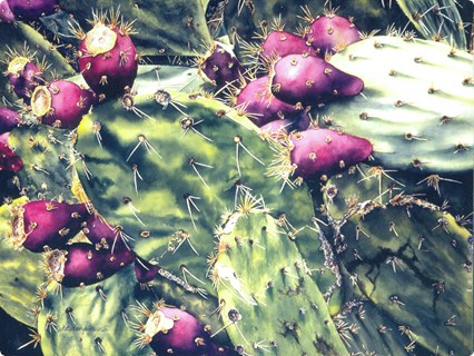 Nopal con tunas