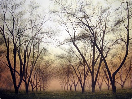 Siluetas en la niebla